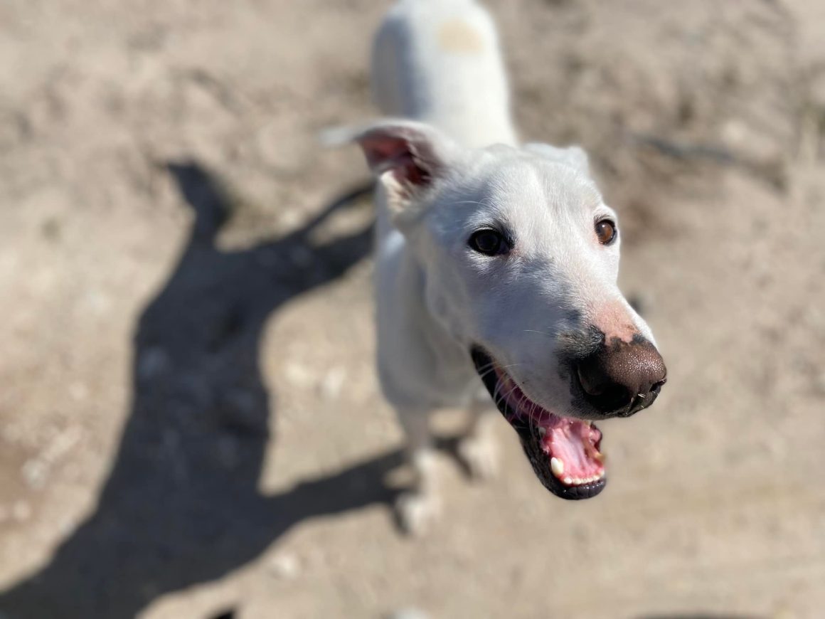 Zeus